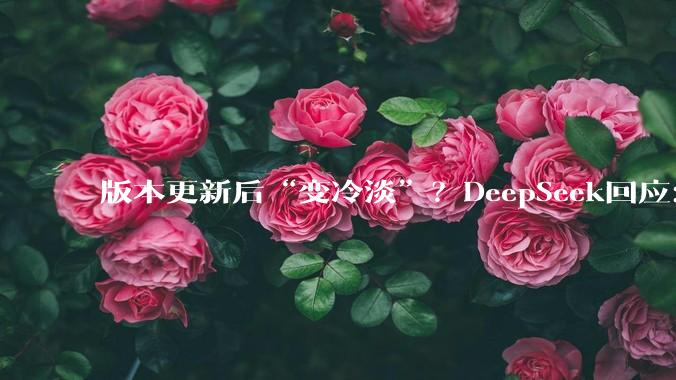 版本更新后“变冷淡”？DeepSeek回应：效率和便捷感等原因叠加_用户_模型_反馈